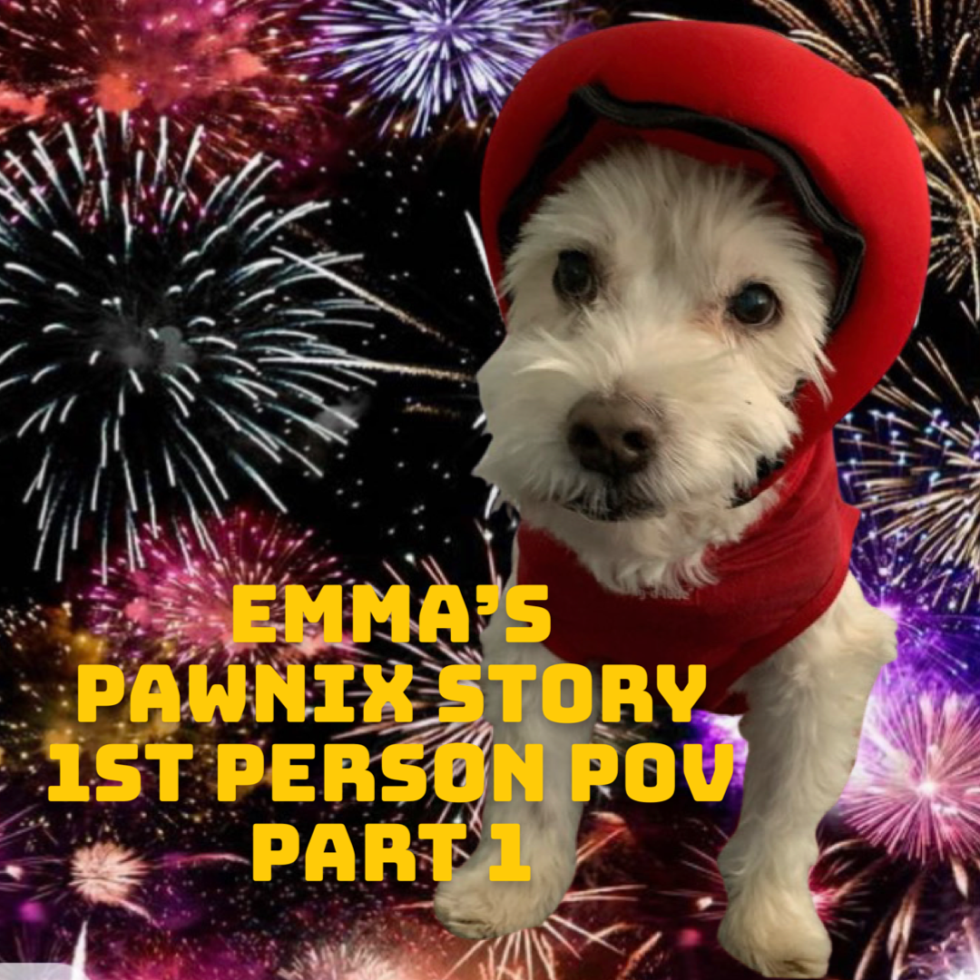 PAWNIX, A tail Episode 1: Emma POV V1