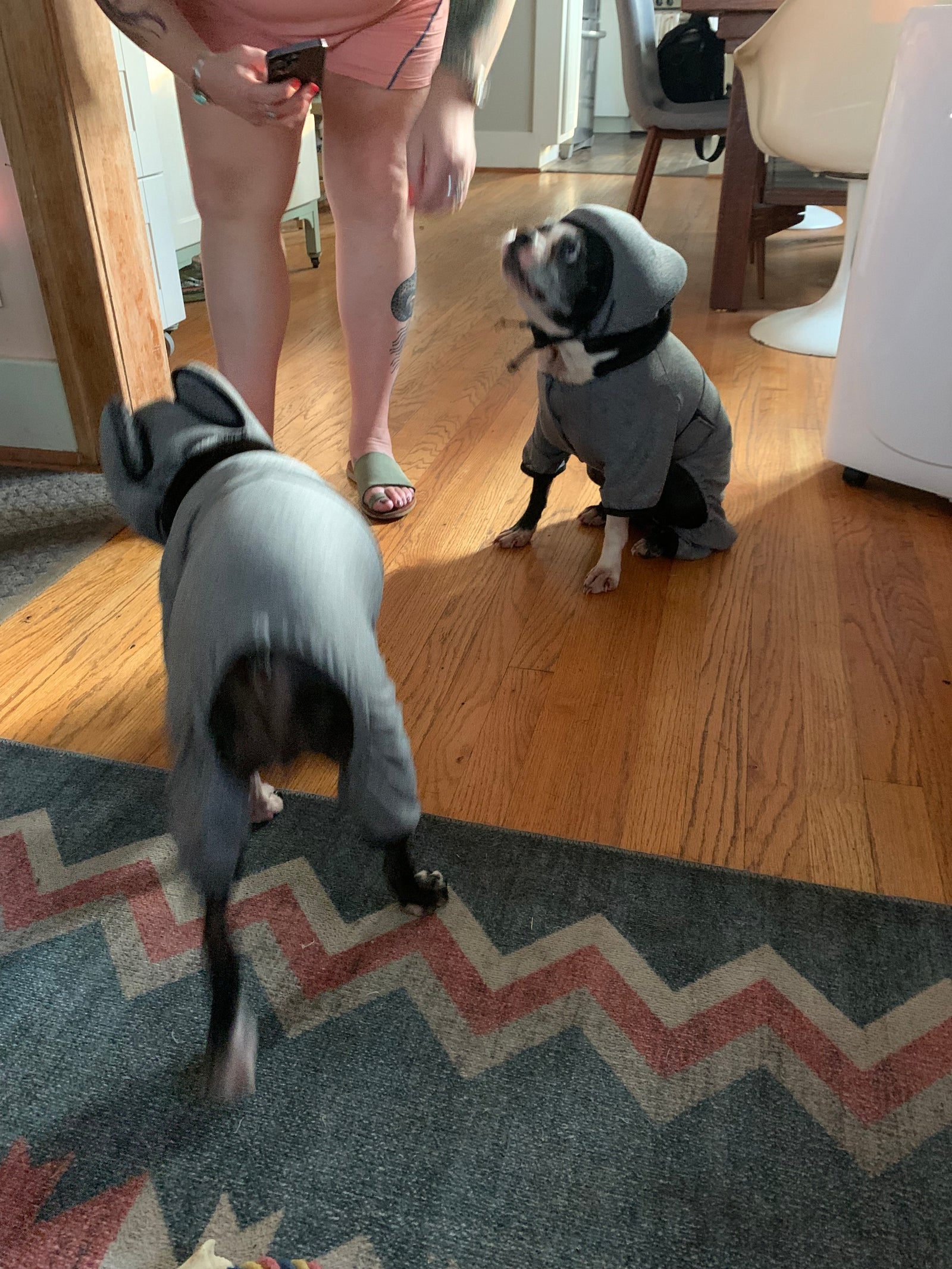 PAWNIX, a tail Episode 4: Silent Disco