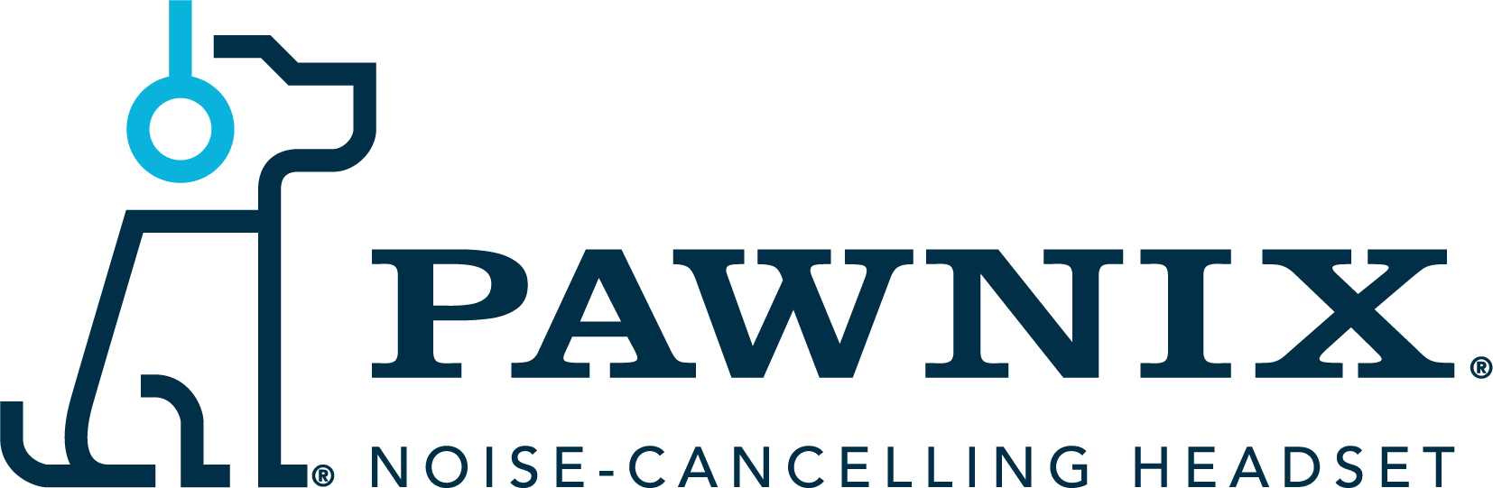 Pawnix Noise-Cancelling Headphones