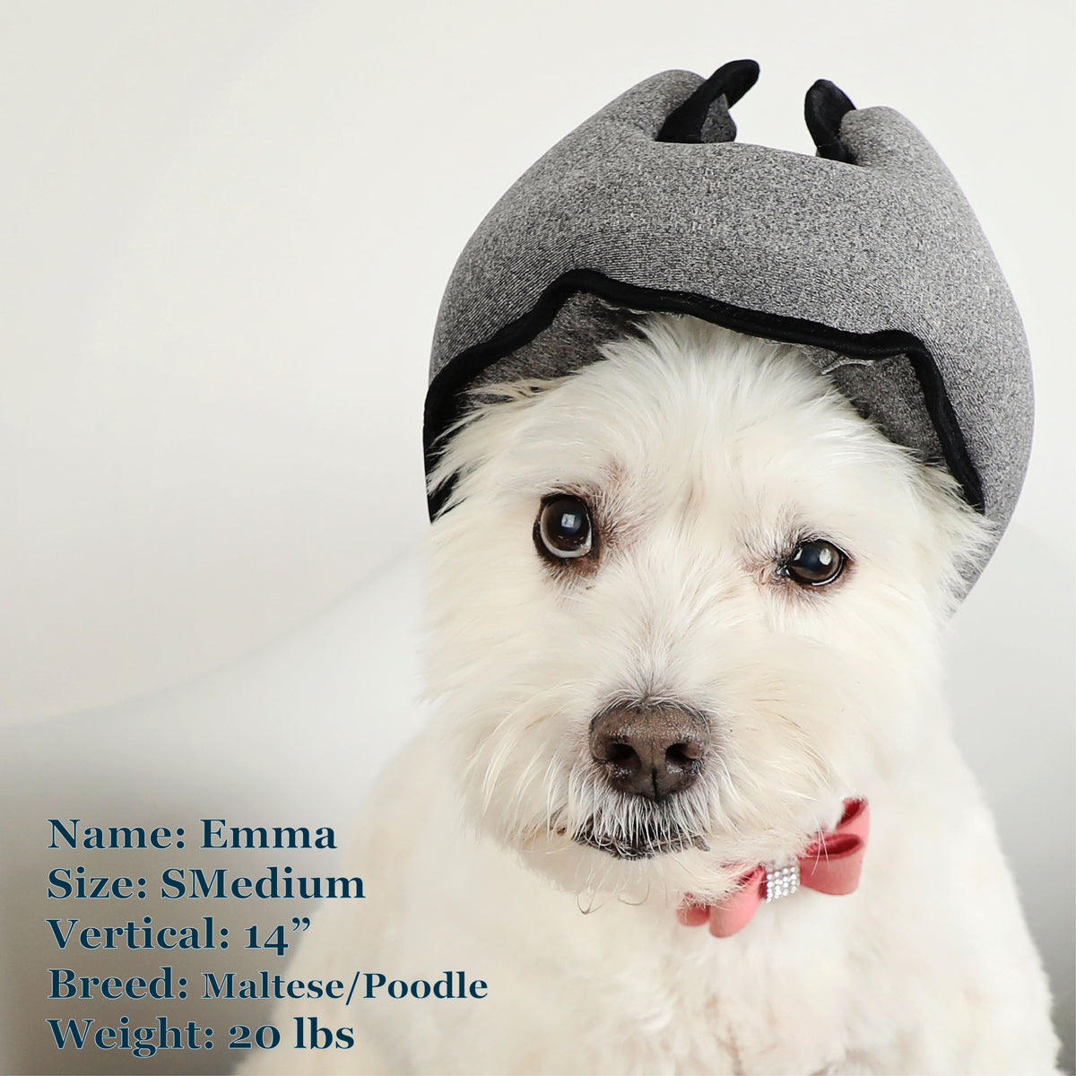 Emma is a Maltese Poodle Mix in a SMedium Grey but can also wear a Medium PAWNIX Noise Cancelling Headset for dogs