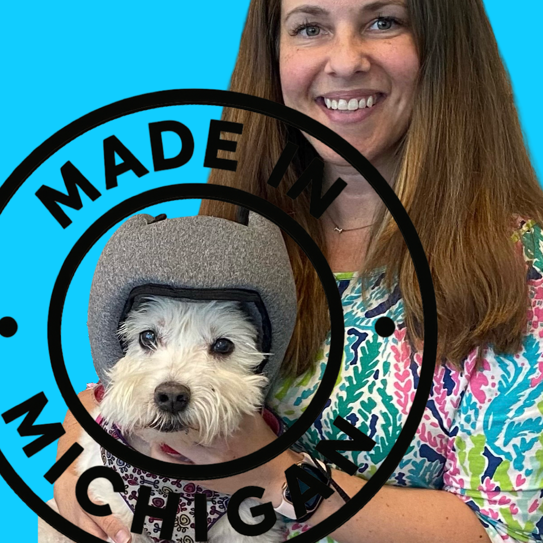PAWNIX Featured on CBS News Detroit’s Made in Michigan – A Local Innovation Changing Dogs’ Lives