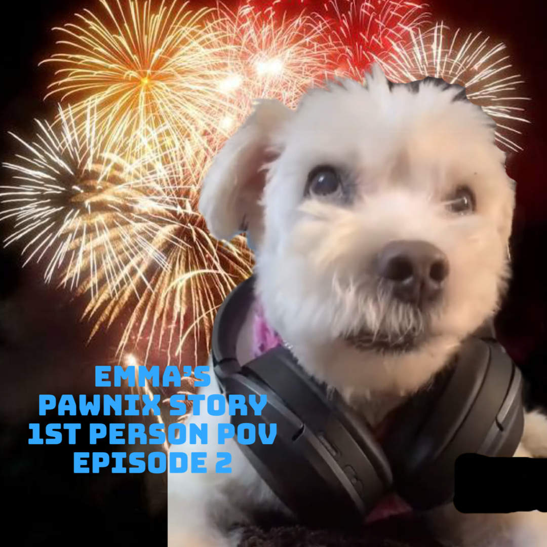 PAWNIX, a tail Episode 2: Emma POV V2