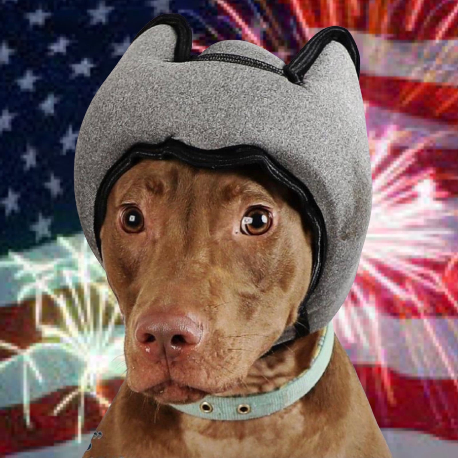 2025 Fireworks Season Kicks Off in May: How to Keep Your Dog Calm and Safe
