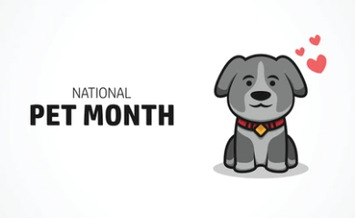 PAWNIX – Celebrating National Pet Month