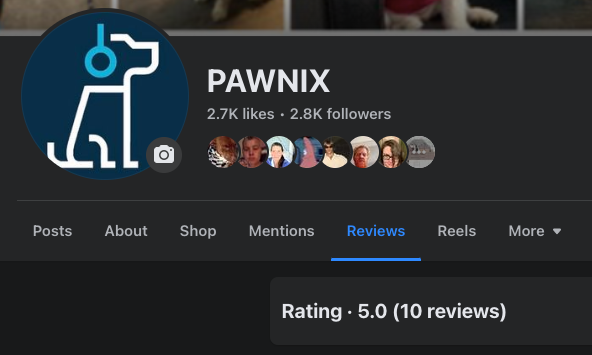 PAWNIX Trustpilot