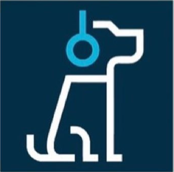 The Silencing of PAWNIX: A Frustrating Ordeal with Meta and Facebook*