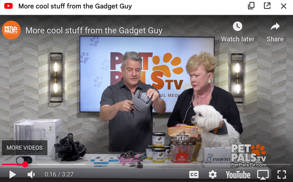 Behind the Scenes on Pet Pals TV: Why We’re Wagging Our Tails