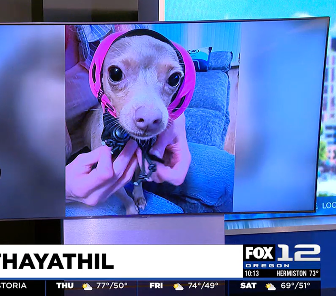 PAWNIX Makes Headlines: KPTV’s Adorable Feature