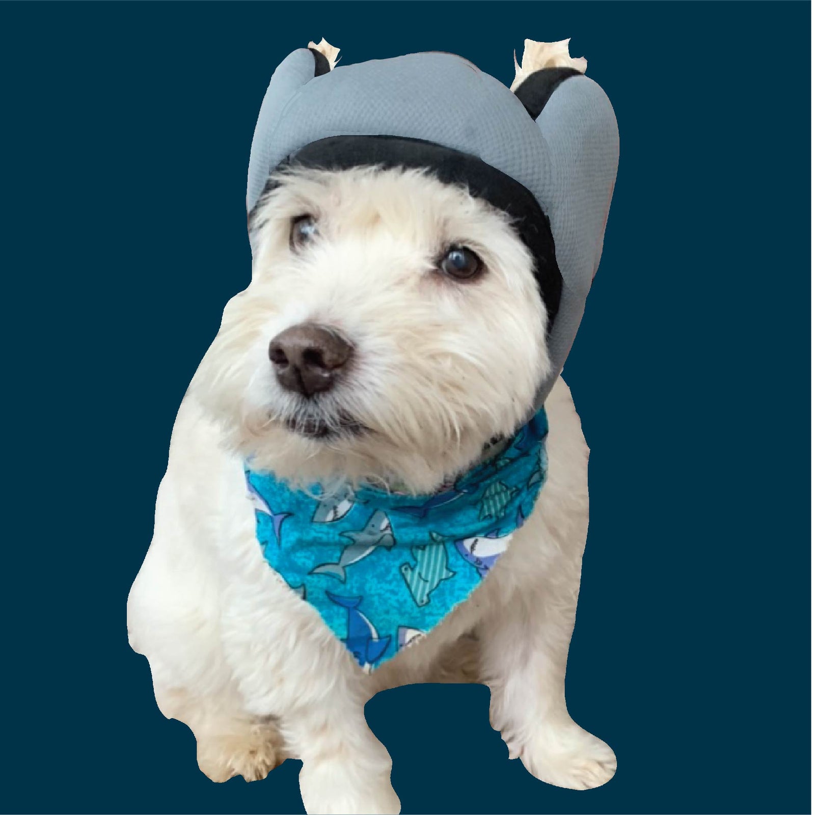 Safe Dogs Ears Dog Noise Cancelling Ear Muffs - Hearing Protection Headphones For Fireworks, Thunder & Loud Noises - Comfort Fit All Breeds - Washable Sound Absorbing Inserts (Blue, Medium