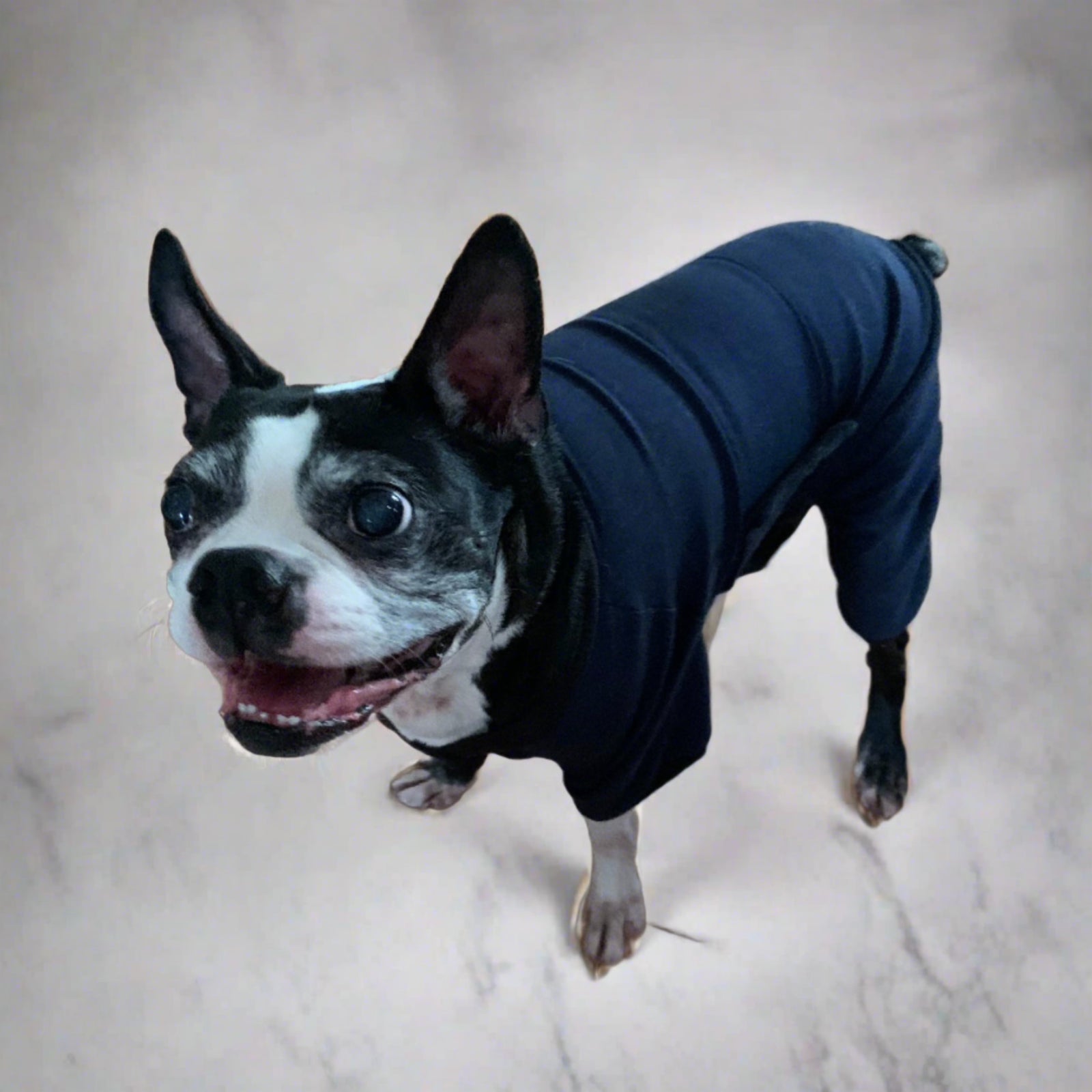 Frank in PAWNIX PJ size 3