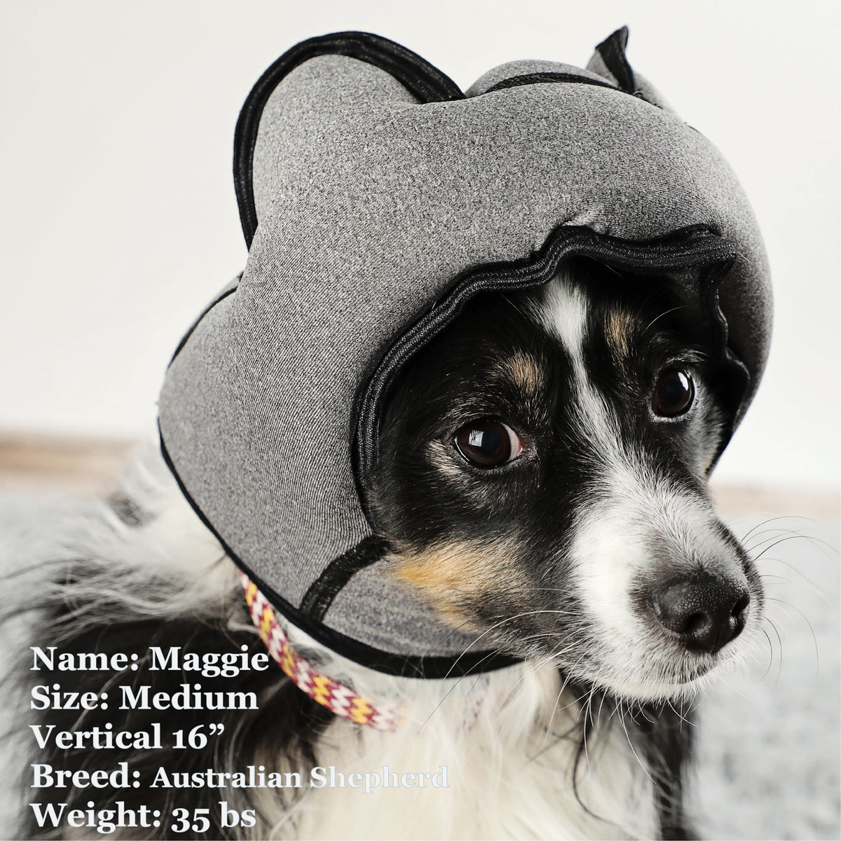 Maggie is a Shepherd in a Medium Grey PAWNIX Noise Cancelling Headset for dogs