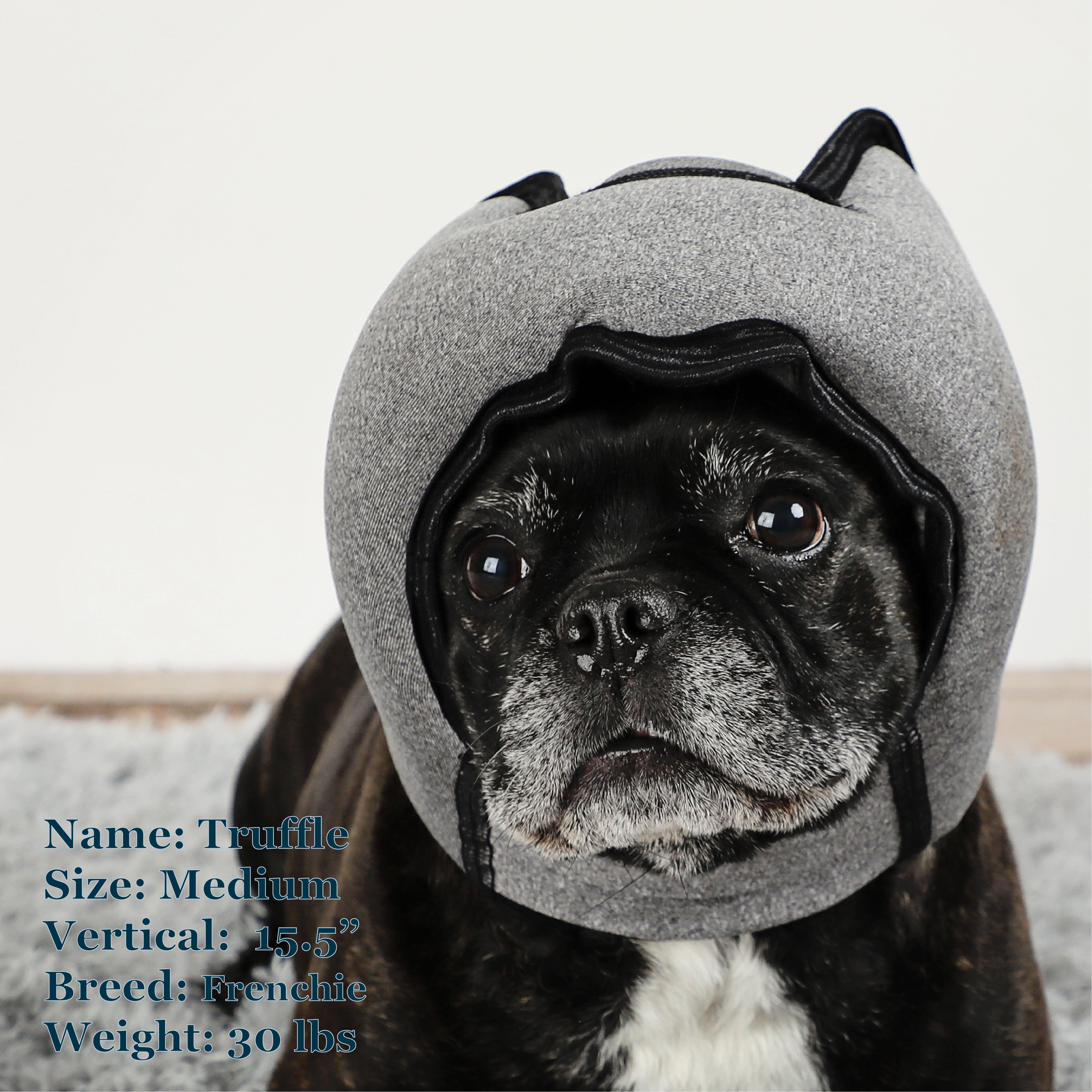 PAWNIX Noise-Cancelling Greyfriars Bobby Headphones for Dogs
